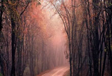 追平最好成绩!郑钦文晋级WTA1000迈阿密站16强3-23 10:50.