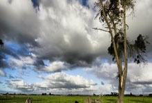 国乒待遇:陪练发2皮箱衣服,主力想穿多少都有,每天300元伙食费.