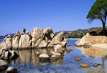 1XBET:新版世俱杯奖金超世界杯一倍 冠军可得1.25亿美元.